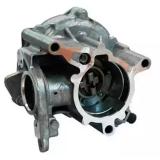 06J145100B 06J145100F Vacuum pump AUDI/VW