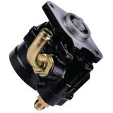 Auto Hydraulic Power Steering Pump 7673975969 for Ford F12000 1992-1995