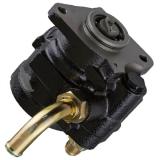 7673975818 Mechanical Steering Pump for Volkswagen 15190 2005 2011