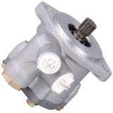 PEV1816-15L101 Power steering pump
