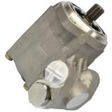PS282815R11401 High Pressure Power Steering Pump