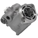 High Pressure Power Steering Pump PS251614R102