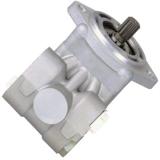 Power steering pump PS282417R10301