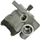 Hydraulic Power steering pump 3824643C91